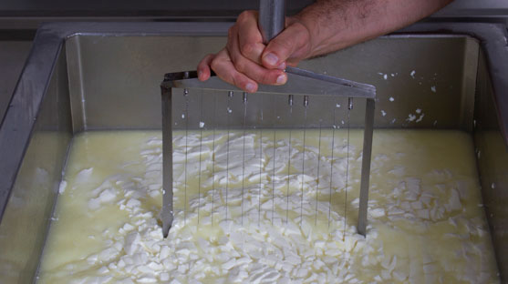 cheese-making-process-03