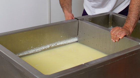 cheese-making-process-04