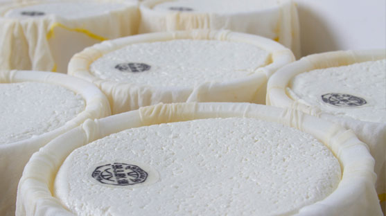 cheese-making-process-06