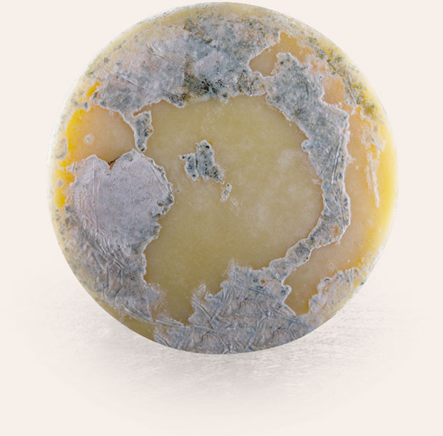mobile-reserva-moldy-cheese